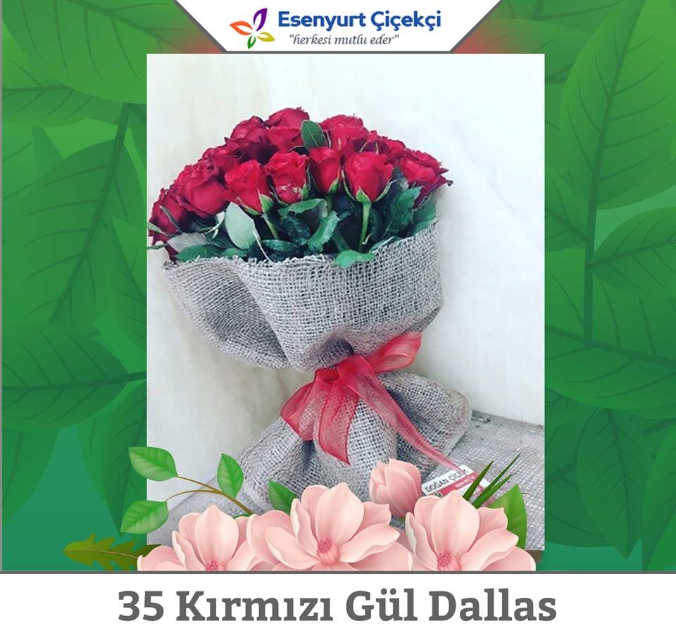 35-kirmizi-gul