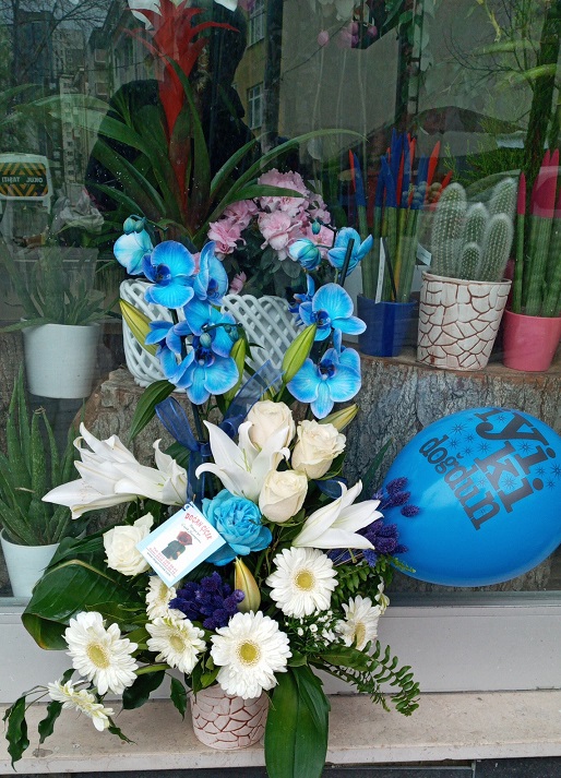 mavi-orkideli-arajman-cicek,, 
