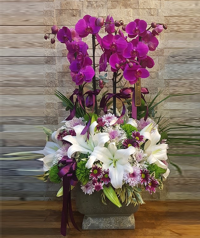 orkide-arajman